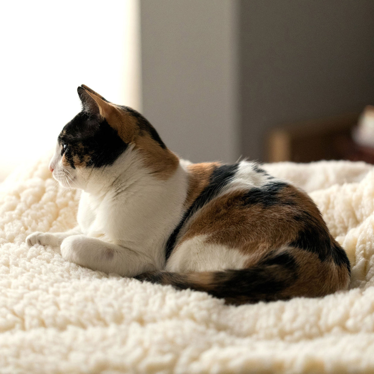 HuggleFleece® Dog Comfort & Travel Mat