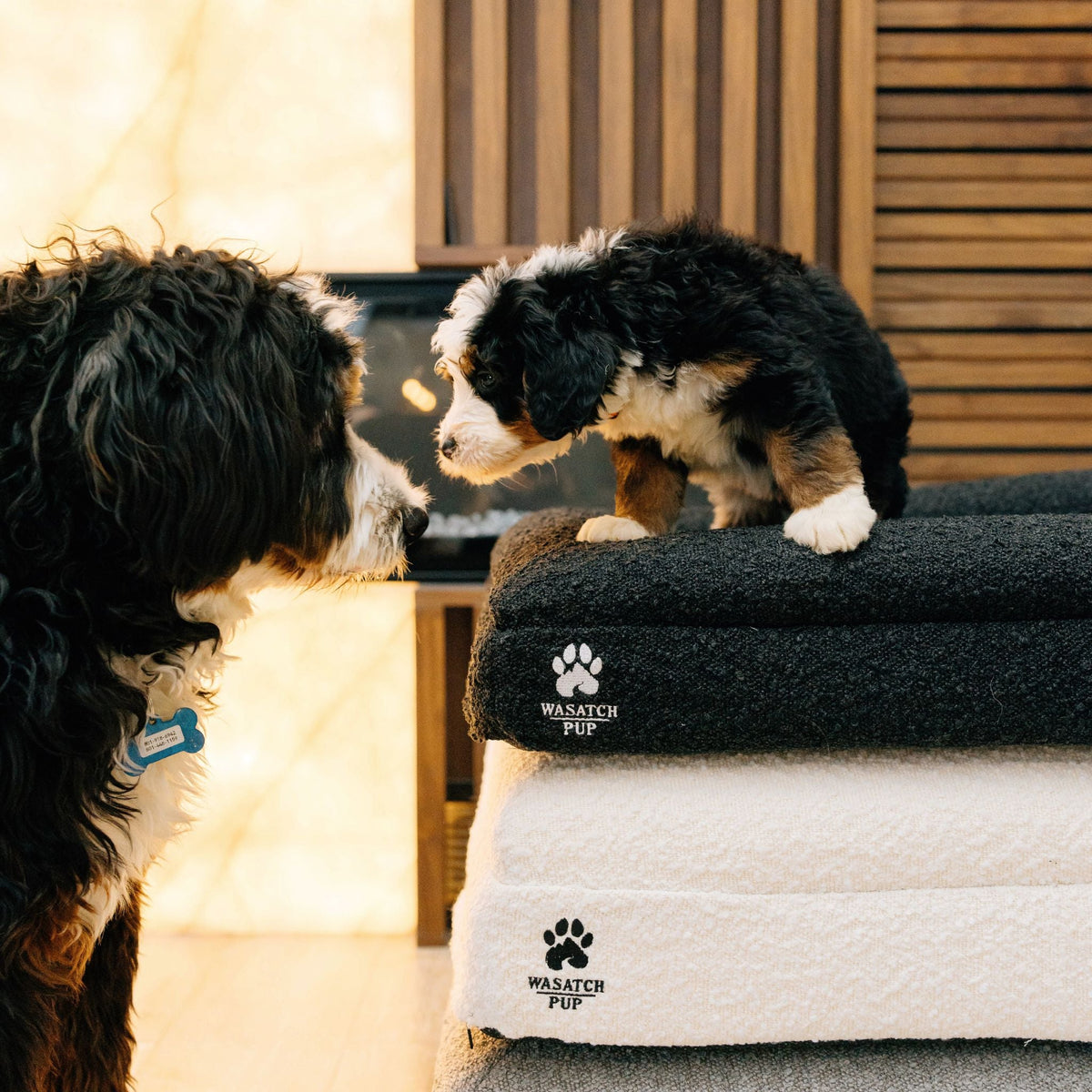 Wasatch Pup Luxury Orthopedic Dog Bed
