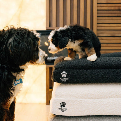Wasatch Pup Luxury Orthopedic Dog Bed