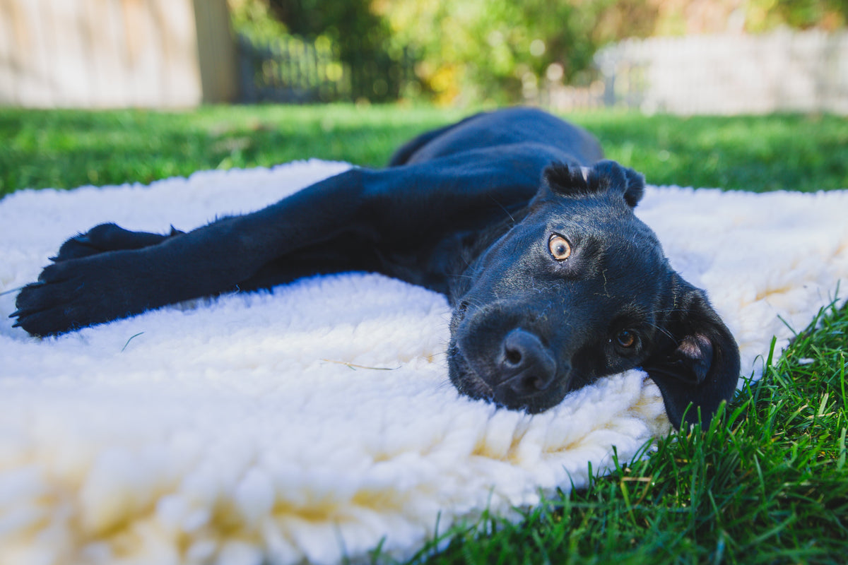 HuggleFleece® Dog Comfort & Travel Mat