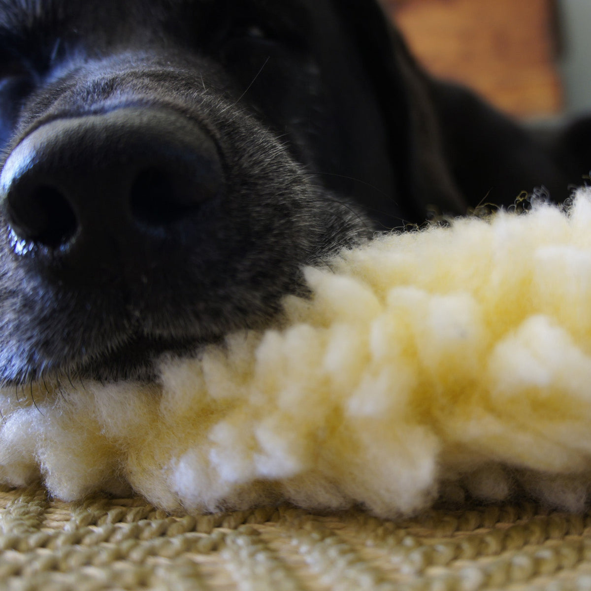 HuggleFleece® Dog Comfort & Travel Mat