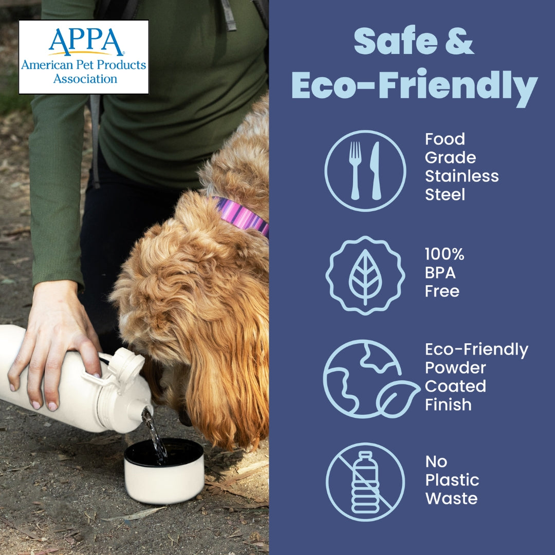 Dog + Human Travel Water Bottle & Bowl